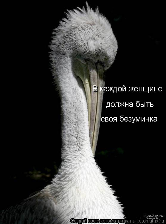 В каждой женщине должна быть своя безуминка... Котоматрица: В каждой женщине должна быть своя безуминка