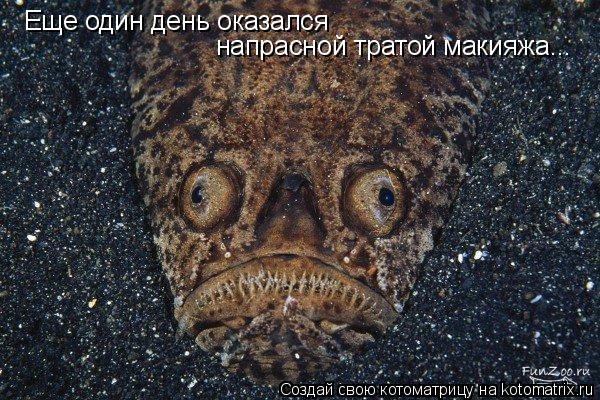 Еще один день оказался напрасной тратой макияжа...... Котоматрица: Еще один день оказался напрасной тратой макияжа...