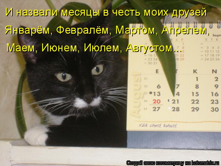 И назвали месяцы в честь моих друзей Январём, Февралём, Мартом, Апрелем, Маем, Июнем, Июлем, Августо... Котоматрица: И назвали месяцы в честь моих друзей Январём, Февралём, Мартом, Апрелем, Маем, Июнем, Июлем, Августом...