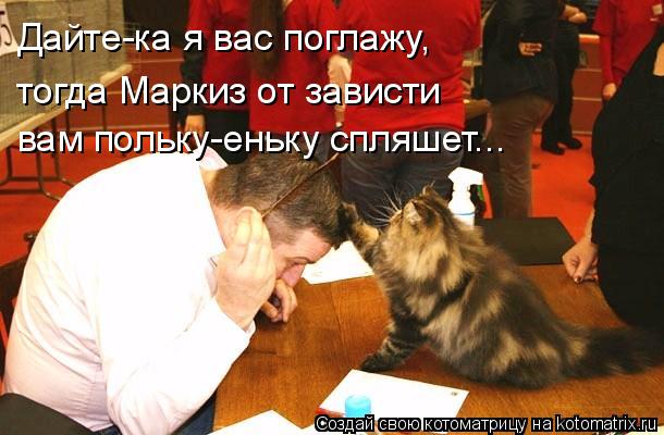 Дайте-ка я вас поглажу, тогда Маркиз от зависти вам польку-еньку спляшет...... Котоматрица: Дайте-ка я вас поглажу, тогда Маркиз от зависти вам польку-еньку спляшет...