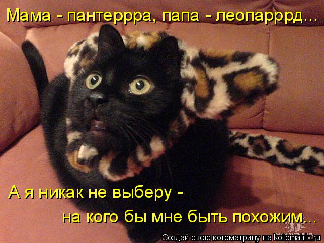 Мама - пантеррра, папа - леопарррд... А я никак не выберу - на кого бы мне быть похожим...... Котоматрица: Мама - пантеррра, папа - леопарррд... А я никак не выберу - на кого бы мне быть похожим...