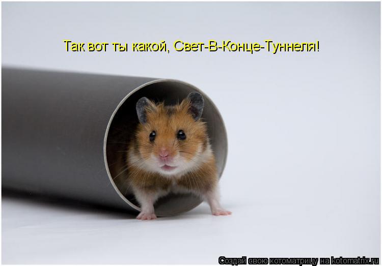 Так вот ты какой, Свет-В-Конце-Туннеля!... Котоматрица: Так вот ты какой, Свет-В-Конце-Туннеля!