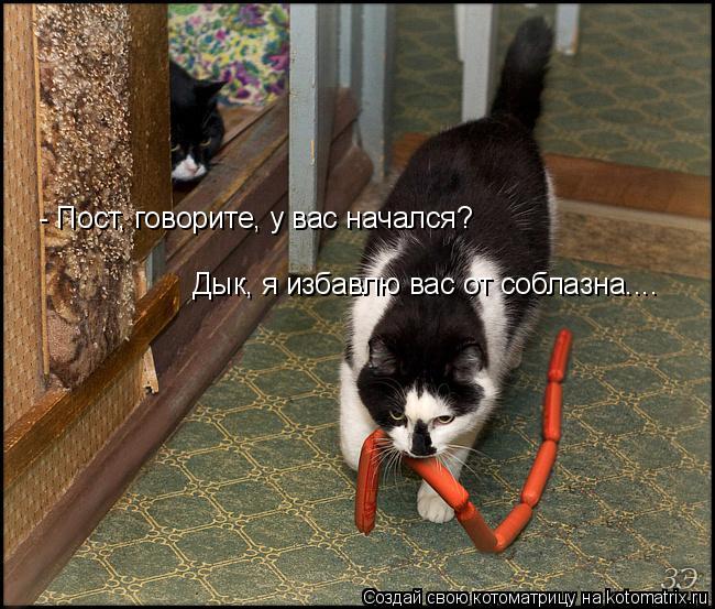 Котоматрица: - Пост, говорите, у вас начался?  Дык, я избавлю вас от соблазна....