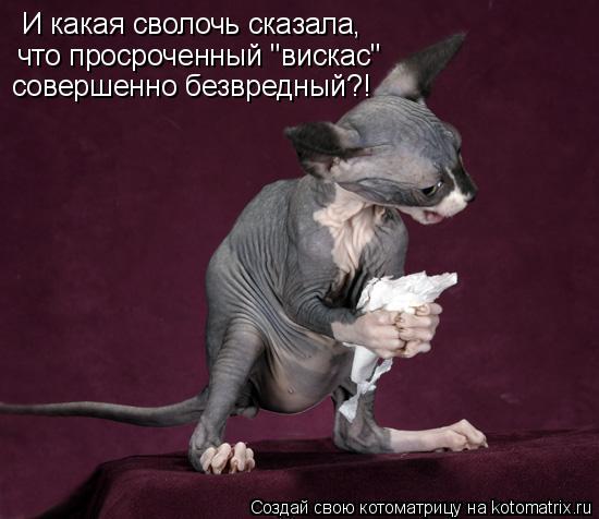 И какая сволочь сказала, что просроченный "вискас" совершенно безвредный?!... Котоматрица: И какая сволочь сказала, что просроченный "вискас" совершенно безвредный?!