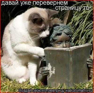 давай уже перевернем страницу то... Котоматрица: давай уже перевернем страницу то