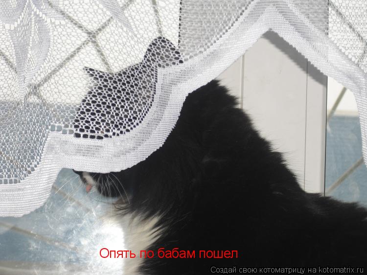 Опять по бабам пошел... Котоматрица: Опять по бабам пошел
