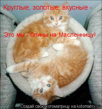 Круглые, золотые, вкусные - Это мы - блины на Масленницу!... Котоматрица: Круглые, золотые, вкусные - Это мы - блины на Масленницу!