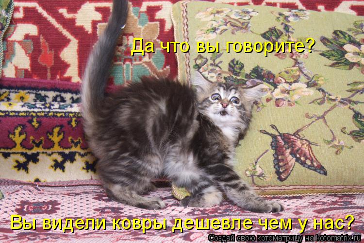 Да что вы говорите? Вы видели ковры дешевле чем у нас?... Котоматрица: Да что вы говорите? Вы видели ковры дешевле чем у нас?