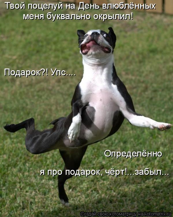 Твой поцелуй на День влюблённых меня буквально окрылил! Подарок?! Упс.... Определённо я про подарок, ... Котоматрица: Твой поцелуй на День влюблённых меня буквально окрылил! Подарок?! Упс.... Определённо я про подарок, чёрт!...забыл...