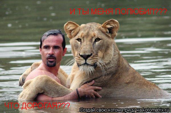 И ТЫ МЕНЯ ПОЛЮБИЛ??? ЧТО ДОРОГАЯ???... Котоматрица: И ТЫ МЕНЯ ПОЛЮБИЛ??? ЧТО ДОРОГАЯ???