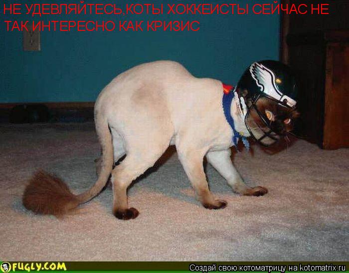 НЕ УДЕВЛЯЙТЕСЬ,КОТЫ ХОККЕИСТЫ СЕЙЧАС НЕ ТАК ИНТЕРЕСНО КАК КРИЗИС... Котоматрица: НЕ УДЕВЛЯЙТЕСЬ,КОТЫ ХОККЕИСТЫ СЕЙЧАС НЕ ТАК ИНТЕРЕСНО КАК КРИЗИС