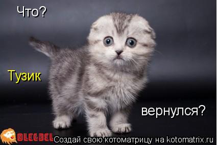 Что? Тузик вернулся?... Котоматрица: Что? Тузик вернулся?
