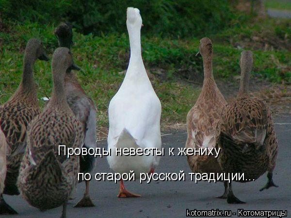 по старой русской традиции... Проводы невесты к жениху... Котоматрица: по старой русской традиции... Проводы невесты к жениху