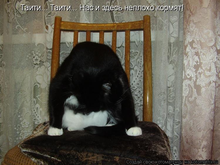 Таити... Таити... Нас и здесь неплохо кормят!... Котоматрица: Таити... Таити... Нас и здесь неплохо кормят!