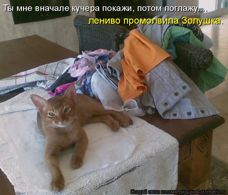 Ты мне вначале кучера покажи, потом поглажу.... лениво промолвила Золушка.... Котоматрица: Ты мне вначале кучера покажи, потом поглажу.... лениво промолвила Золушка.