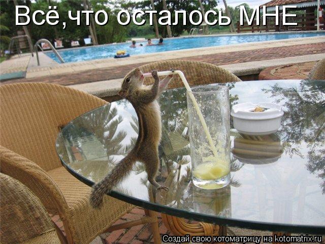 Всё,что осталось МНЕ... Котоматрица: Всё,что осталось МНЕ
