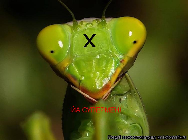 . . х ЙА СУПЕРМЕН!... Котоматрица: . . х ЙА СУПЕРМЕН!