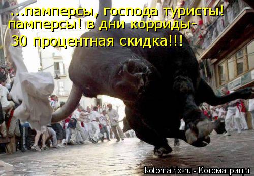 Котоматрица: ...памперсы, господа туристы!  памперсы! в дни корриды- 30 процентная скидка!!!