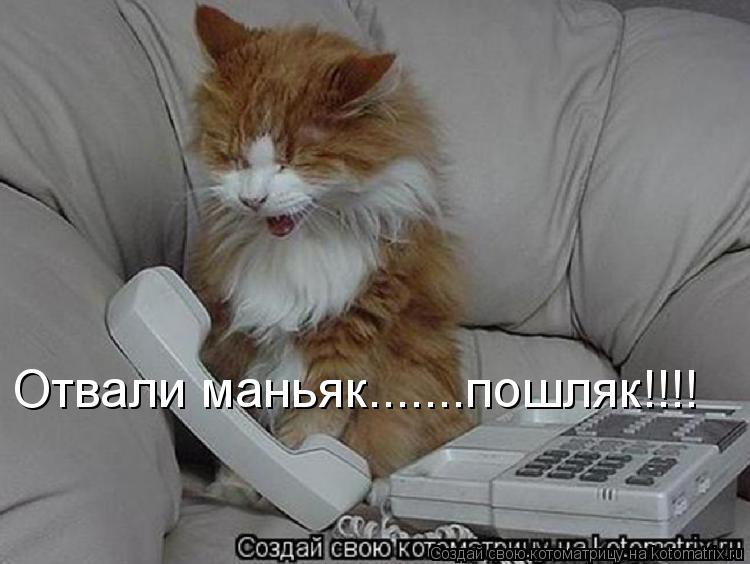 Отвали маньяк.......пошляк!!!!... Котоматрица: Отвали маньяк.......пошляк!!!!