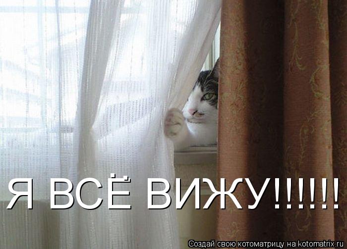 Я ВСЕ ВИЖУ!!!!!! . .... Котоматрица: Я ВСЕ ВИЖУ!!!!!! . .