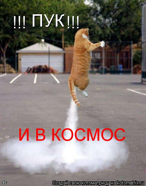 ПУК И В КОСМОС !!! !!!... Котоматрица: ПУК И В КОСМОС !!! !!!