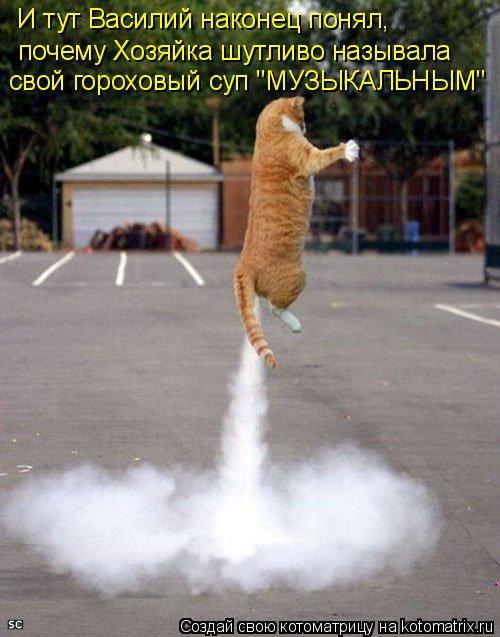 И тут Василий наконец понял, почему Хозяйка шутливо называла свой гороховый суп "МУЗЫКАЛЬНЫМ"... Котоматрица: И тут Василий наконец понял, почему Хозяйка шутливо называла свой гороховый суп "МУЗЫКАЛЬНЫМ"