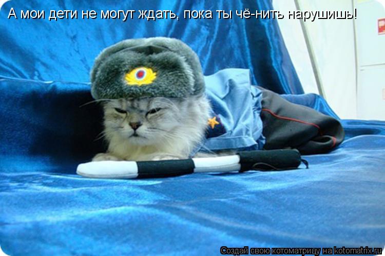 А мои дети не могут ждать, пока ты чё-нить нарушишь!... Котоматрица: А мои дети не могут ждать, пока ты чё-нить нарушишь!