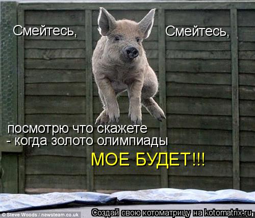 Смейтесь, Смейтесь, посмотрю что скажете - когда золото олимпиады МОЕ БУДЕТ!!!... Котоматрица: Смейтесь, Смейтесь, посмотрю что скажете - когда золото олимпиады МОЕ БУДЕТ!!!