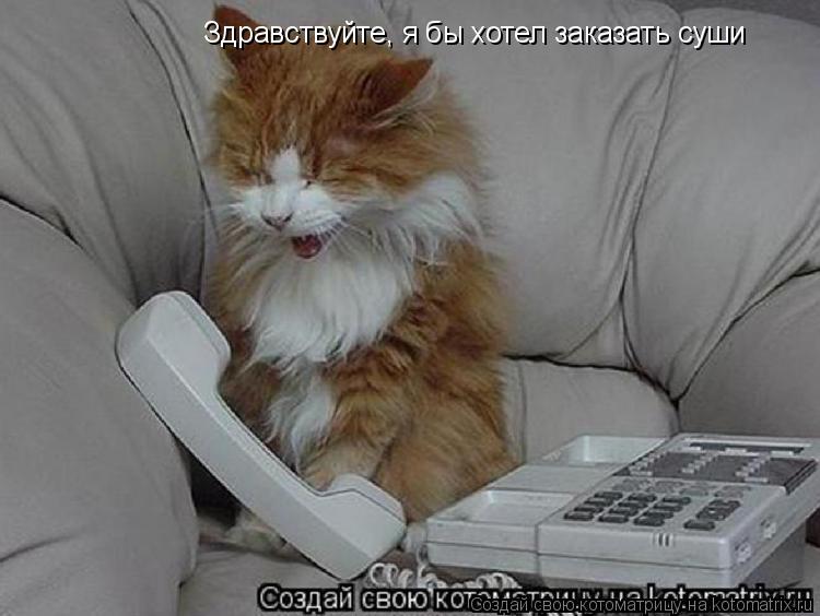 Здравствуйте, я бы хотел заказать суши... Котоматрица: Здравствуйте, я бы хотел заказать суши