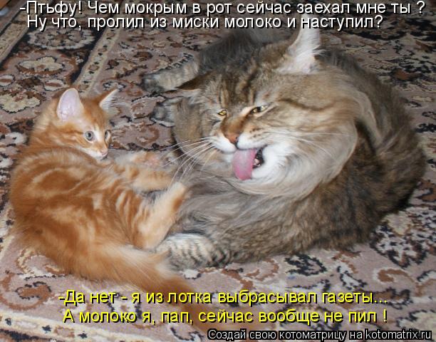 -Птьфу! Чем мокрым в рот сейчас заехал мне ты ? Ну что, пролил из миски молоко и наступил? А молоко я... Котоматрица: -Птьфу! Чем мокрым в рот сейчас заехал мне ты ? Ну что, пролил из миски молоко и наступил? А молоко я, пап, сейчас вообще не пил ! -Да нет - я из ло
