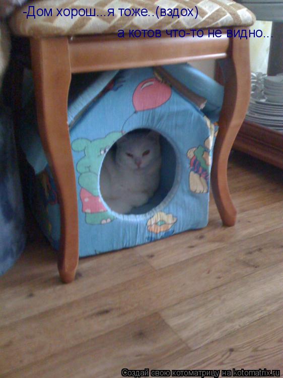 -Дом хорош...я тоже..(вздох) а котов что-то не видно...... Котоматрица: -Дом хорош...я тоже..(вздох) а котов что-то не видно...