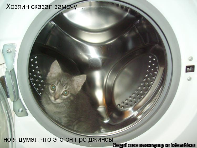 Хозяин сказал замочу..... но я думал что это он про джинсы... Котоматрица: Хозяин сказал замочу..... но я думал что это он про джинсы