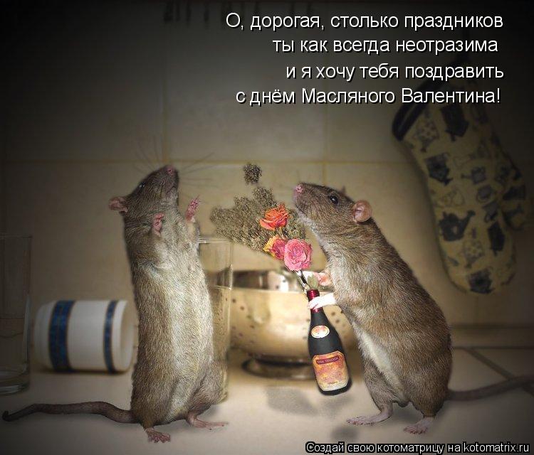 Котоматрица: и я хочу тебя поздравить с днём Масляного Валентина! О, дорогая, столько праздников ты как всегда неотразима
