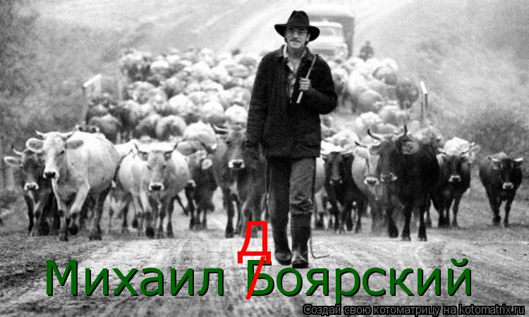 Михаил Боярский / Д... Котоматрица: Михаил Боярский / Д