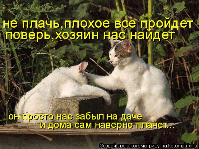 Котоматрица: не плачь,плохое все пройдет поверь,хозяин нас найдет он просто нас забыл на даче и дома сам наверно плачет...