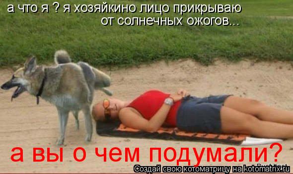 а что я ? я хозяйкино лицо прикрываю от солнечных ожогов... а вы о чем подумали?... Котоматрица: а что я ? я хозяйкино лицо прикрываю от солнечных ожогов... а вы о чем подумали?