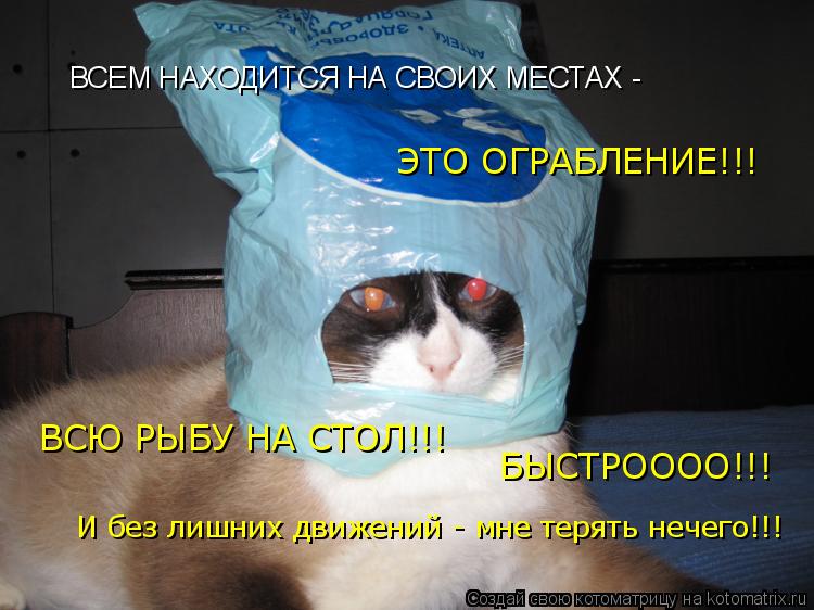 ЭТО ОГРАБЛЕНИЕ!!! ВСЮ РЫБУ НА СТОЛ!!! БЫСТРОООО!!! И без лишних движений - мне терять нечего!!! ВСЕМ ... Котоматрица: ЭТО ОГРАБЛЕНИЕ!!! ВСЮ РЫБУ НА СТОЛ!!! БЫСТРОООО!!! И без лишних движений - мне терять нечего!!! ВСЕМ НАХОДИТСЯ НА СВОИХ МЕСТАХ -