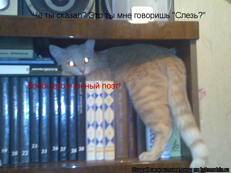 Чё ты сказал? Это ты мне говоришь "Слезь?" Чё ты сказал? Это ты мне говоришь "Слезь?" Вообщето я юнны... Котоматрица: Чё ты сказал? Это ты мне говоришь "Слезь?" Чё ты сказал? Это ты мне говоришь "Слезь?" Вообщето я юнный поэт!
