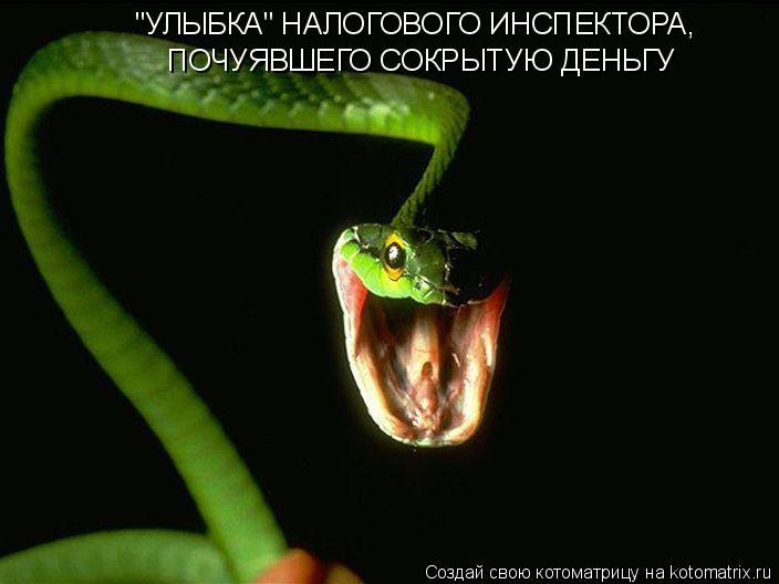 "УЛЫБКА" НАЛОГОВОГО ИНСПЕКТОРА, ПОЧУЯВШЕГО СОКРЫТУЮ ДЕНЬГУ... Котоматрица: "УЛЫБКА" НАЛОГОВОГО ИНСПЕКТОРА, ПОЧУЯВШЕГО СОКРЫТУЮ ДЕНЬГУ