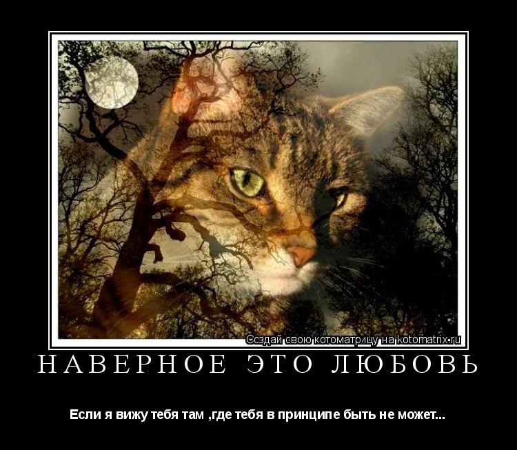 Наверное Это Любовь Если я вижу тебя там ,где тебя в принципе быть не может...... Котоматрица: Наверное Это Любовь Если я вижу тебя там ,где тебя в принципе быть не может...