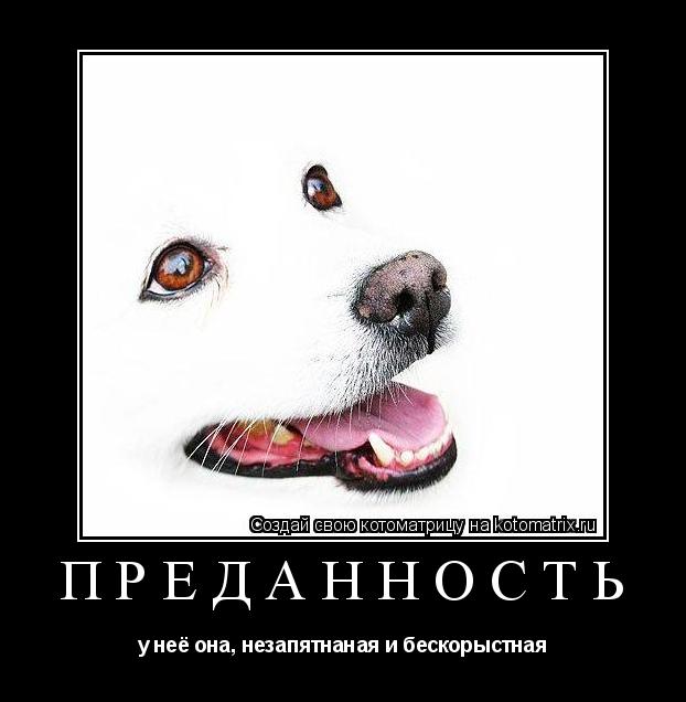 ПРЕДАННОСТЬ у неё она, незапятнаная и бескорыстная... Котоматрица: ПРЕДАННОСТЬ у неё она, незапятнаная и бескорыстная
