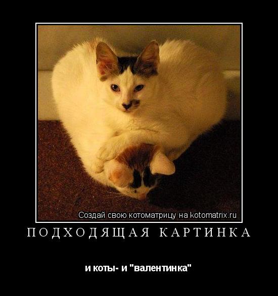 подходящая картинка и коты- и "валентинка"... Котоматрица: подходящая картинка и коты- и "валентинка"
