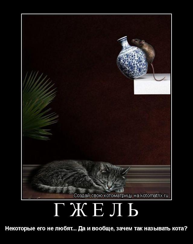 ГЖЕЛЬ Некоторые его не любят... Да и вообще, зачем так называть кота?... Котоматрица: ГЖЕЛЬ Некоторые его не любят... Да и вообще, зачем так называть кота?