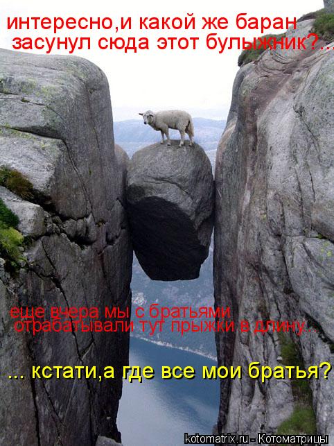 интересно,и какой же баран засунул сюда этот булыжник?... еще вчера мы с братьями отрабатывали тут п... Котоматрица: интересно,и какой же баран засунул сюда этот булыжник?... еще вчера мы с братьями отрабатывали тут прыжки в длину... ... кстати,а где все мои бр