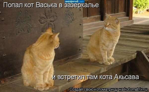 Попал кот Васька в зазеркалье и встретил там кота Акьсава... Котоматрица: Попал кот Васька в зазеркалье и встретил там кота Акьсава