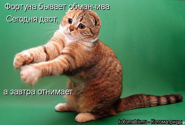 Фортуна бывает обманчива Сегодня даст, а завтра отнимает..... Котоматрица: Фортуна бывает обманчива Сегодня даст, а завтра отнимает..