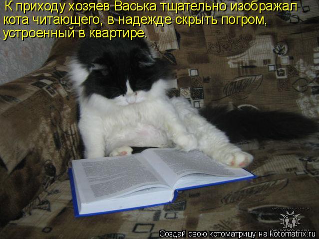 К приходу хозяев Васька тщательно изображал кота читающего, в надежде скрыть погром, устроенный в ква... Котоматрица: К приходу хозяев Васька тщательно изображал кота читающего, в надежде скрыть погром, устроенный в квартире.