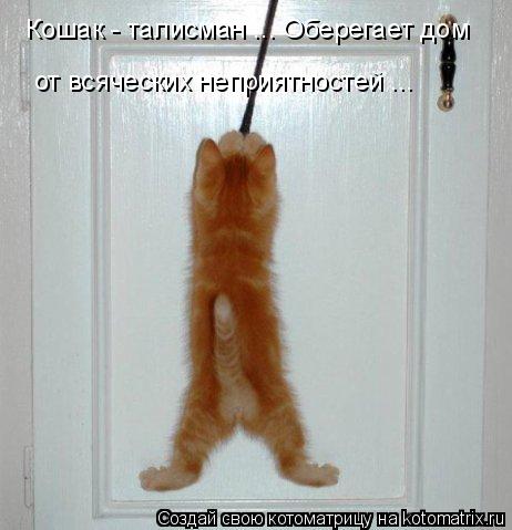 Кошак - талисман ... Оберегает дом от всяческих неприятностей ...... Котоматрица: Кошак - талисман ... Оберегает дом от всяческих неприятностей ...