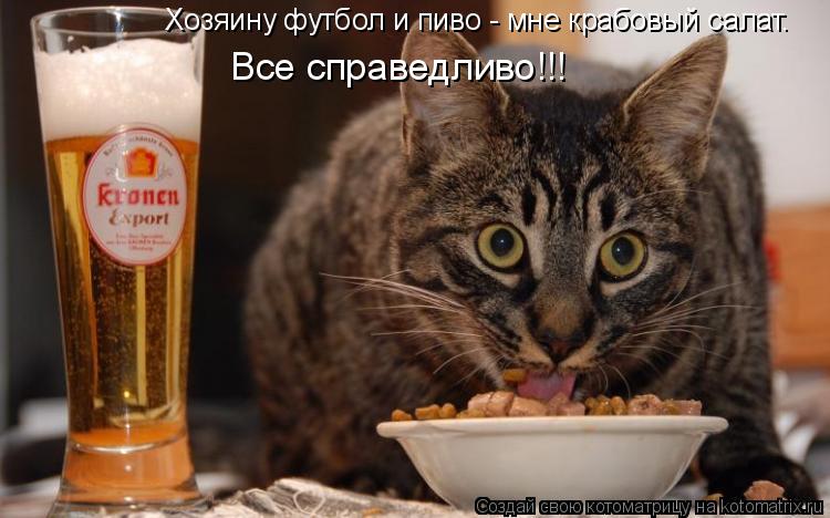 Хозяину футбол и пиво - мне крабовый салат. Все справедливо!!!... Котоматрица: Хозяину футбол и пиво - мне крабовый салат. Все справедливо!!!