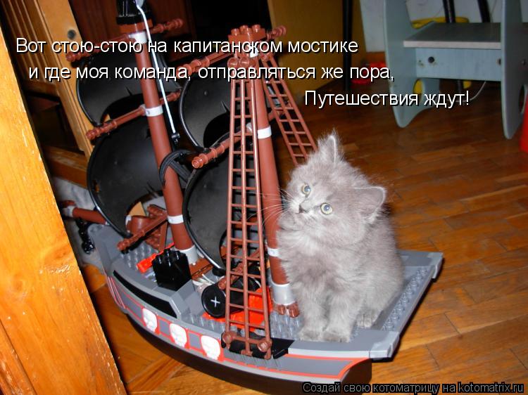 Вот стою-стою на капитанском мостике и где моя команда, отправляться же пора, Путешествия ждут!... Котоматрица: Вот стою-стою на капитанском мостике и где моя команда, отправляться же пора, Путешествия ждут!
